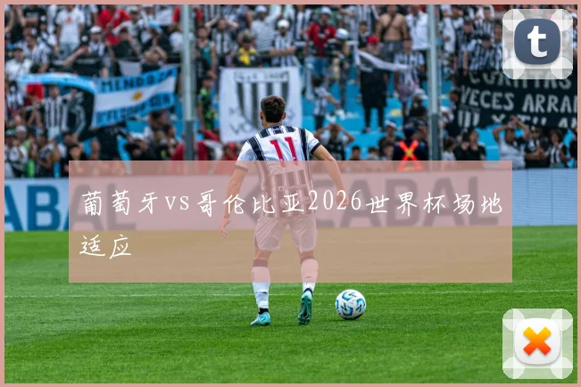 葡萄牙vs哥伦比亚2026世界杯场地适应