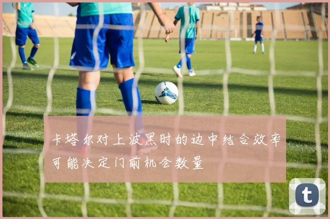 卡塔尔对上波黑时的边中结合效率可能决定门前机会数量