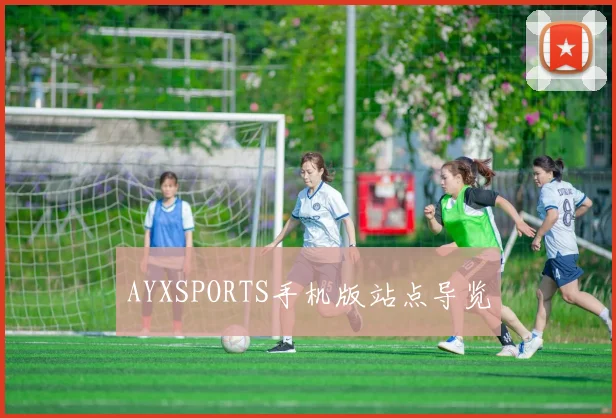 AYXSPORTS手机版站点导览