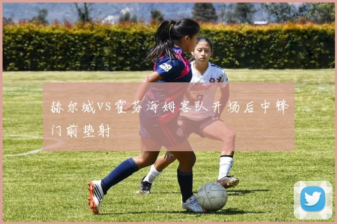 赫尔城vs霍芬海姆客队开场后中锋门前垫射